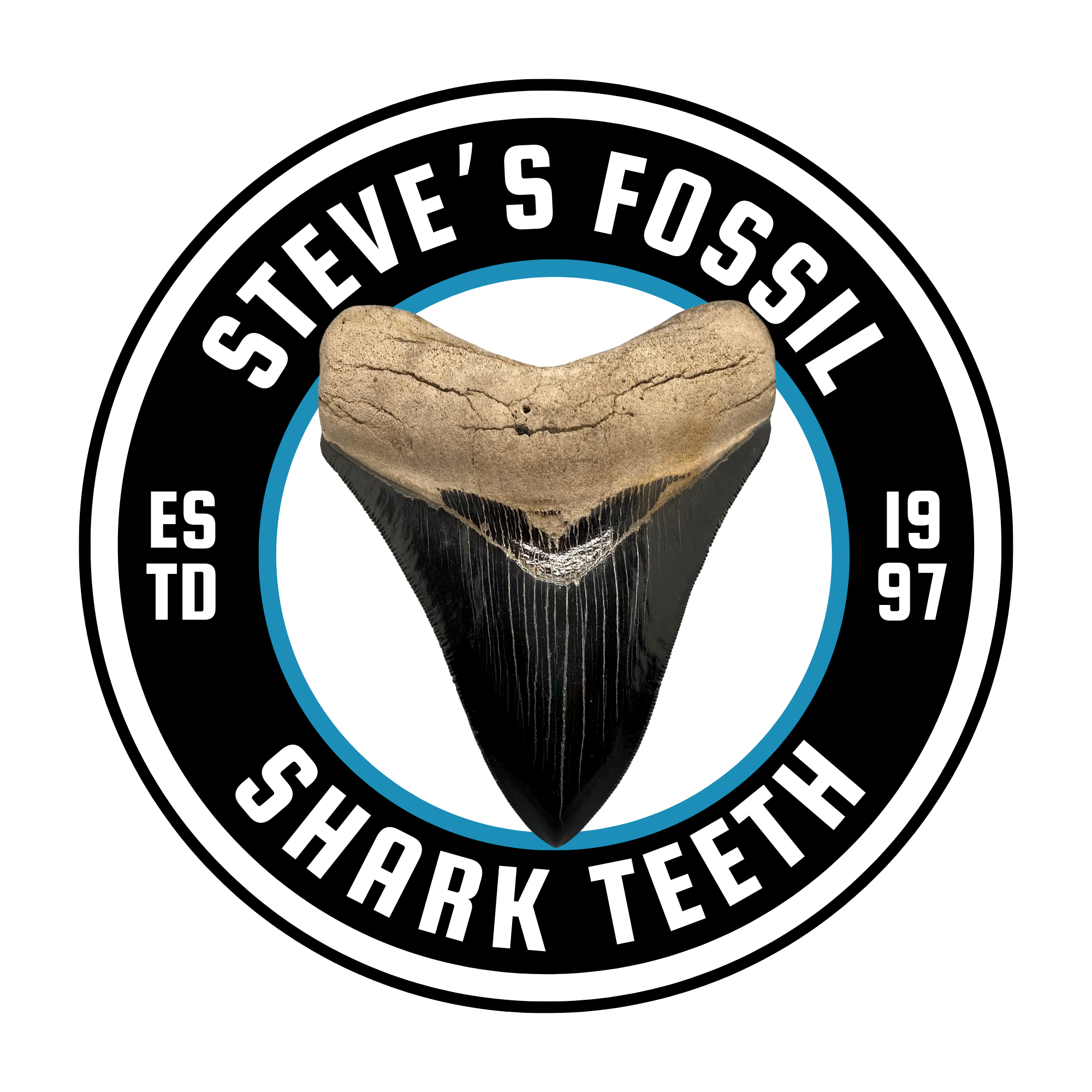 SUPREME QUALITY 1.65 INCH FOSSIL SHARK TOOTH OF A ISURUS HASTALIS MAKO SHARK FROM CALIFORNIA SUPREME QUALITY 1.65 INCH FOSSIL SHARK TOOTH OF A ISURUS HASTALIS MAKO SHARK FROM CALIFORNIA