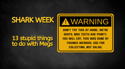 13 Ridiculously Bad Ideas for What to Do with Real Megalodon Teeth (So You Don’t Have To)